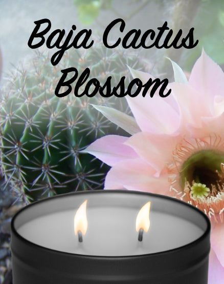 Baja Cactus Blossom Candle