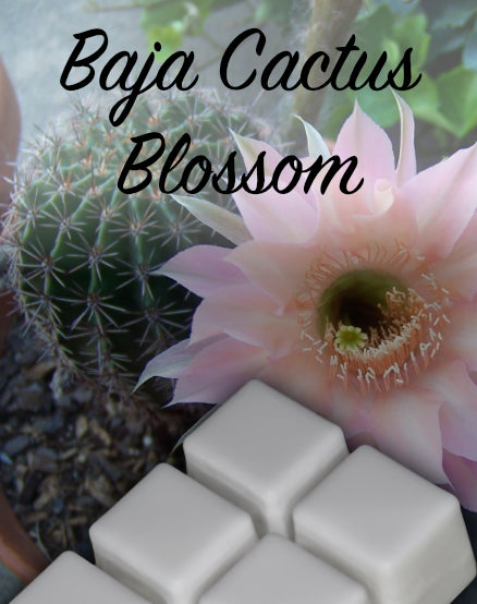 Baja Cactus Blossom Wax Melt