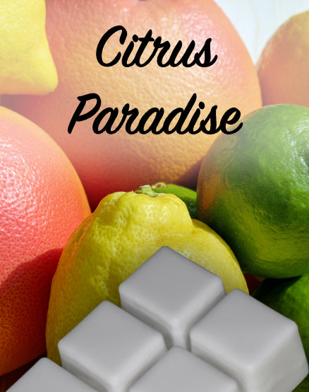 Citrus Paradise Wax Melt