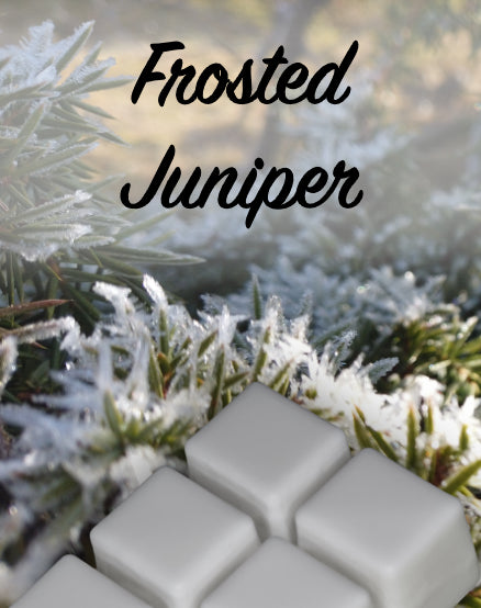 Frosted Juniper Wax Melt